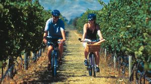 Tour de bicileta na vinícola cousiño macul