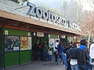 Zoológico Nacional no Parque Metropolitano em Santiago