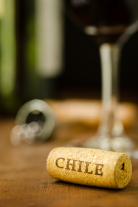 chilean-red-wine