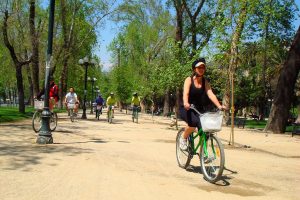 Parque Forestal - Great for Cycling